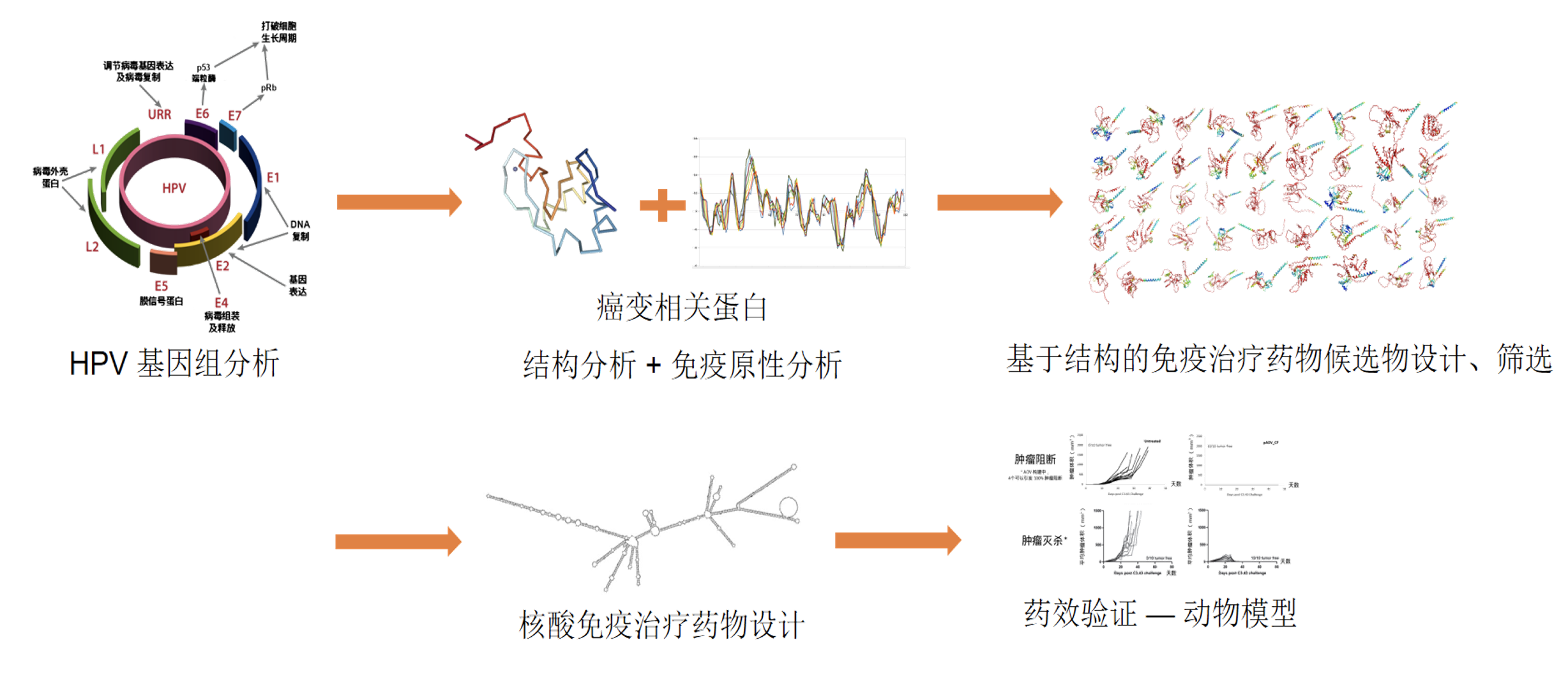 核心技术.png