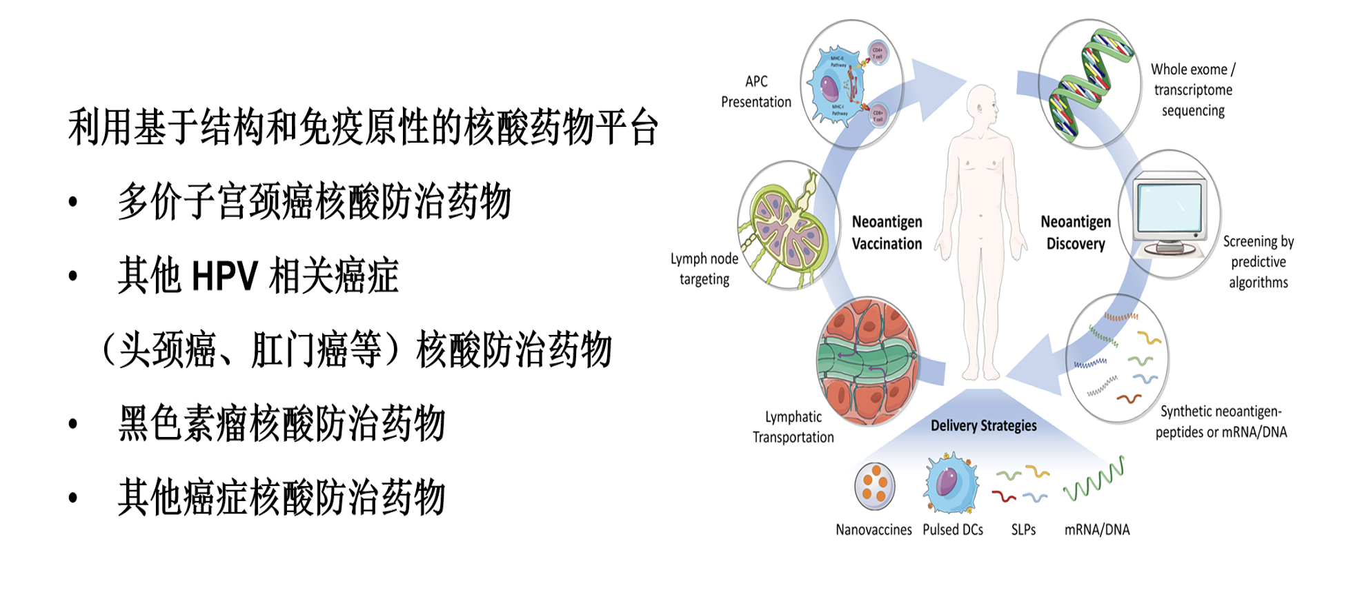 技术研发2.png
