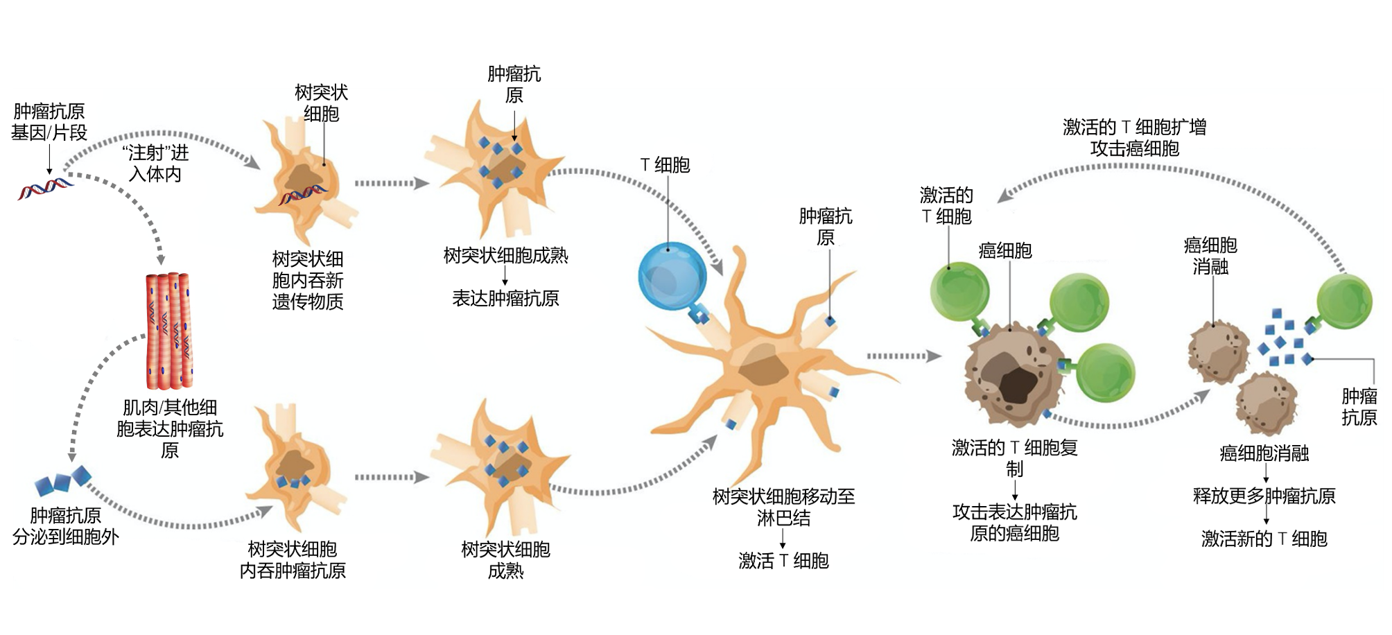 技术研发1.png